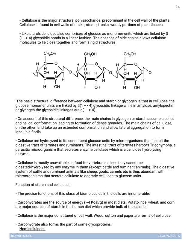 Biomolecules lecture notes | PDF