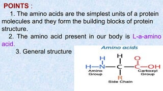 POINTS :
1. The amino acids are the simplest units of a protein
molecules and they form the building blocks of protein
structure.
2. The amino acid present in our body is L-a-amino
acid.
3. General structure :
 