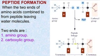 PEPTIDE FORMATION
When the two ends of
amino acids combined to
from peptide leaving
water molecules.
Two ends are :
1. amino group.
2. carboxylic group.
 