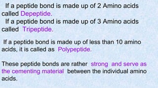 If a peptide bond is made up of 2 Amino acids
called Depeptide.
If a peptide bond is made up of 3 Amino acids
called Tripeptide.
If a peptide bond is made up of less than 10 amino
acids, it is called as Polypeptide.
These peptide bonds are rather strong and serve as
the cementing material between the individual amino
acids.
 