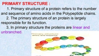 PRIMARY STRUCTURE :
1. Primary structure of a protein refers to the number
and sequence of amino acids in the Polypeptide chains.
2. The primary structure of an protein is largely
responsible for its function.
3. In primary structure the proteins are linear and
unbranched.
 