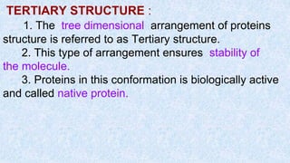 TERTIARY STRUCTURE :
1. The tree dimensional arrangement of proteins
structure is referred to as Tertiary structure.
2. This type of arrangement ensures stability of
the molecule.
3. Proteins in this conformation is biologically active
and called native protein.
 