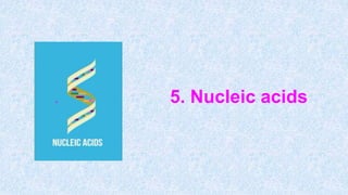 . 5. Nucleic acids
 