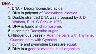 DNA :
1. DNA - Deoxyribonucleic acids.
2. DNA is polymer of Deoxyribonucleotide.
3. Double stranded DNA was proposed by J. D
Watson, F. H. C Crick in 1953.
4. DNA is found in chromosome.
5. It contains Deoxyribo sugar.
6.Nitrogenous bases - Adenine pairs with Thymine,
Guanine pairs with Cytosine.
7. purine and pyrimidine bases are equal.
8. DNA is a genetic material in all organism.
 