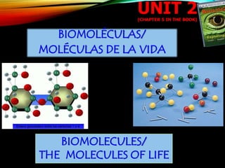 UNIT 2(CHAPTER 5 IN THE BOOK)
BIOMOLÉCULAS/
MOLÉCULAS DE LA VIDA
BIOMOLECULES/
THE MOLECULES OF LIFE
 