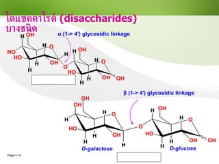 ไดแซคคาไรด์   (disaccharides)   บางชนิด 