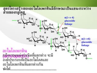 สูตรโครงสร้างของอะไมโลเพกทินมีลักษณะเป็นแขนงระหว่างสายของกลูโคส อะไมโลเพกทิน  (amylopectin) แป้งจากแหล่งกำเนิดที่แตกต่าง จะมีองค์ประกอบที่เป็นอะไมโลสและอะไมโลเพกทินที่แตกต่างกัน  ทำให้ .................................................. 
