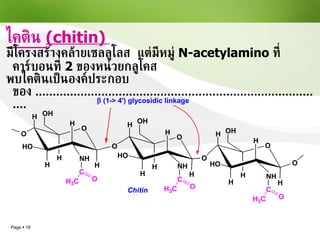 ไคติน  (chitin)   มีโครงสร้างคล้ายเซลลูโลส  แต่มีหมู่  N-acetylamino  ที่คาร์บอนที่  2  ของหน่วยกลูโคส พบไคตินเป็นองค์ประกอบของ  .................................................................................... 