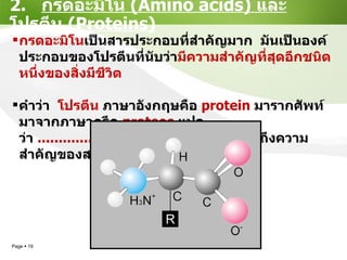 2.  กรดอะมิโน  (Amino acids)  และโปรตีน   (Proteins) กรดอะมิโน เป็นสารประกอบที่สำคัญมาก  มันเป็นองค์ประกอบของโปรตีนที่นับว่า มีความสำคัญที่สุดอีกชนิดหนึ่งของสิ่งมีชีวิต คำว่า  โปรตีน  ภาษาอังกฤษคือ  protein   มารากศัพท์มาจากภาษากรีก  proteos   แปลว่า  ......................................  ( ซึ่งแสดงถึงความสำคัญของสารกลุ่มนี้ ) 