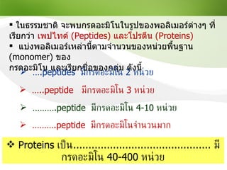 ในธรรมชาติ จะพบกรดอะมิโนในรูปของพอลิเมอร์ต่างๆ ที่เรียกว่า  เพปไทด์  (Peptides)   และโปรตีน  (Proteins) แบ่งพอลิเมอร์เหล่านี้ตามจำนวนของหน่วยพื้นฐาน   (monomer)   ของ กรดอะมิโน และเรียกชื่อของกลุ่ม ดังนี้ … .peptides   มีกรดอะมิโน  2   หน่วย … ..peptide  มีกรดอะมิโน  3   หน่วย ……… .peptide  มีกรดอะมิโน  4-10   หน่วย   ……… .peptide  มีกรดอะมิโนจำนวนมาก Proteins  เป็น .............................................  มีกรดอะมิโน  40-400   หน่วย 