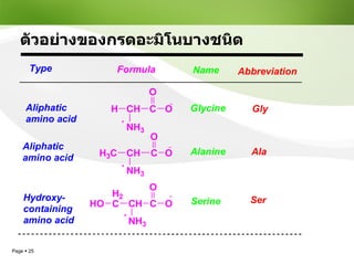 ตัวอย่างของกรดอะมิโนบางชนิด 