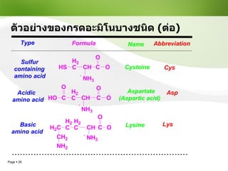 ตัวอย่างของกรดอะมิโนบางชนิด  ( ต่อ ) 