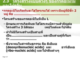 2.3  โครงสร้างแบบต่างๆ ของกรดอะมิโนและโปรตีน กรดอะมิโนเกิดพันธะไฮโดรเจนได้ เพราะมีหมู่ที่มีขั้ว  2  หมู่ คือ  ........................... ............................. โครงสร้างของกรดอะมิโนที่เป็น  L  ลักษณะ การเกิดพันธะไฮโดรเจนมีความสำคัญต่อโครงสร้าง   3   มิติของ  เพปไทด์และโปรตีน ทำให้มีโครงสร้างเป็นสายที่เป็น ................................  และเป็นสายคู่ที่เรียกว่า  ...........................  ซึ่งจะพบในสารพันธุกรรม คือ ดีเอ็นเอ   (deoxyribonucleic acids)   และ  อาร์เอ็นเอ   (ribo-nucleic acids)   และโปรตีนต่างๆ 