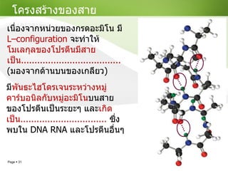 โครงสร้างของสายโปรตีน มี พันธะไฮโดรเจนระหว่างหมู่คาร์บอนิลกับหมู่อะมิโน บนสายของโปรตีนเป็นระยะๆ และ เกิดเป็น ................................   ซึ่งพบใน   DNA RNA  และโปรตีนอื่นๆ เนื่องจากหน่วยของกรดอะมิโน มี  L–configuration   จะทำให้ โมเลกุลของโปรตีนมีสายเป็น ..................................... ( มองจากด้านบนของเกลียว ) 