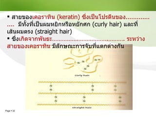 สายของ เคอราทิน   (keratin)   ซึ่งเป็นโปรตีนของ .................   มีทั้งที่เป็นผมหยิกหรือหยักศก   (curly hair)  และที่เส้นผมตรง   (straight hair)  ซึ่ง เกิดจากพันธะ …………………………… .……….  ระหว่างสายของเคอราทิน  มีลักษณะการจับที่แตกต่างกัน 