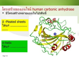 โครงสร้างของเอนไซม์  human carbonic anhydrase มีโครงสร้างหลายแบบในโปรตีนนี้    -Pleated sheets  ได้แก่  ........................ -helix  ได้แก่  ................... 