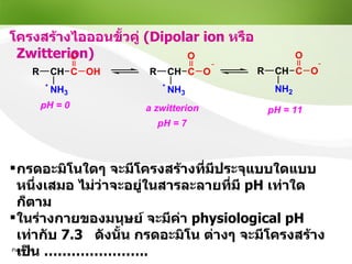 โครงสร้างไอออนขั้วคู่  (Dipolar ion  หรือ   Zwitterion) กรดอะมิโนใดๆ จะมีโครงสร้างที่มีประจุแบบใดแบบหนึ่งเสมอ ไม่ว่าจะอยู่ในสารละลายที่มี  pH   เท่าใดก็ตาม ในร่างกายของมนุษย์ จะมีค่า  physiological pH  เท่ากับ  7.3  ดังนั้น กรดอะมิโน ต่างๆ จะมีโครงสร้างเป็น  ………………… .. 