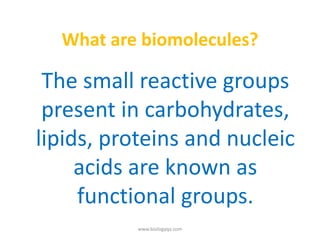 What are biomolecules?
The small reactive groups
present in carbohydrates,
lipids, proteins and nucleic
acids are known as
functional groups.
www.biologyqa.com
 