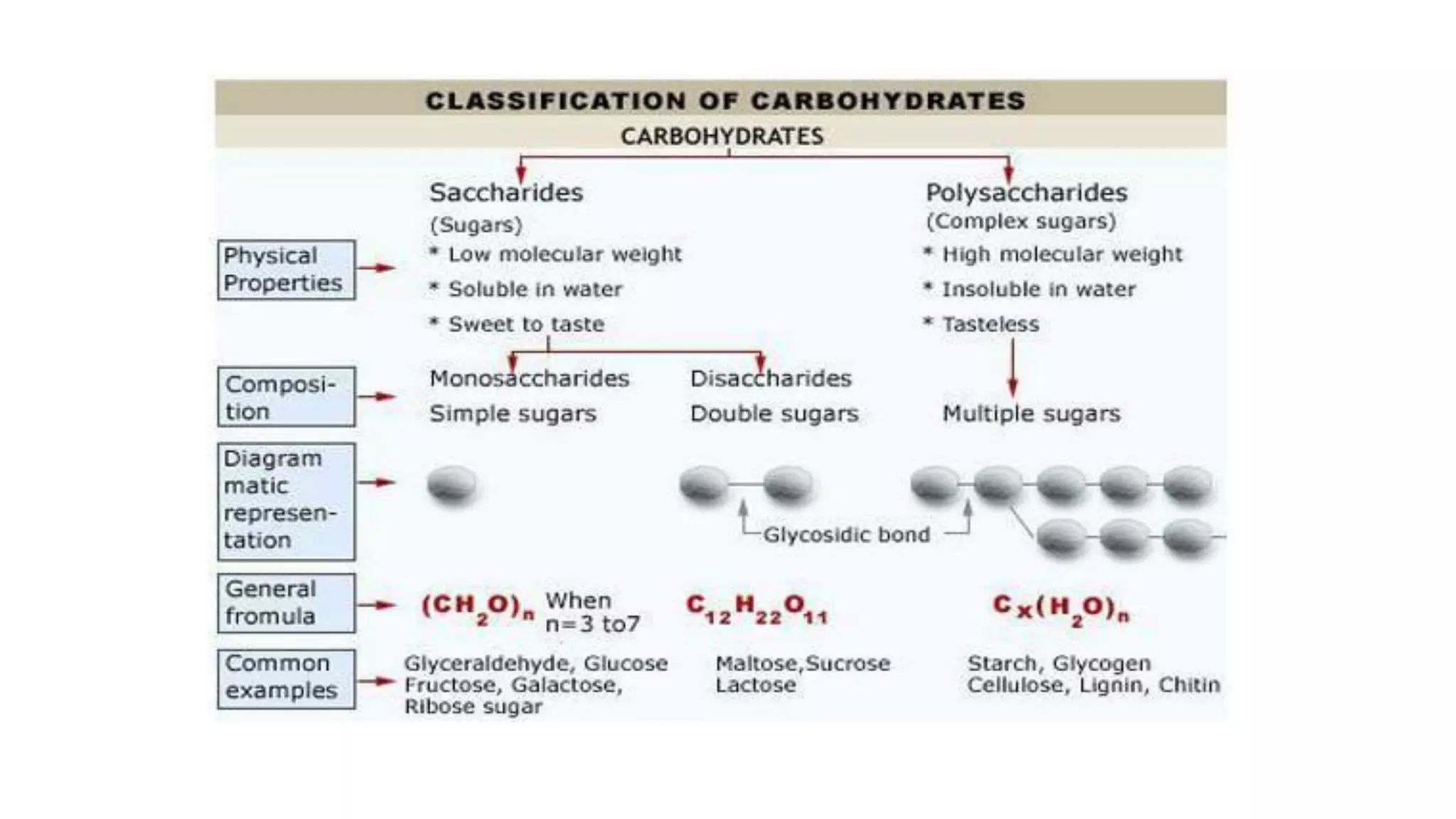 Biomolecules and carbohydrates | PDF
