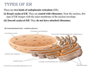 Er Types Biomolecules and the cell MEMBRANE, TRANSPORT SYSTEM | PPTX