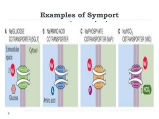 Biomolecules and the cell MEMBRANE, TRANSPORT SYSTEM | PPTX