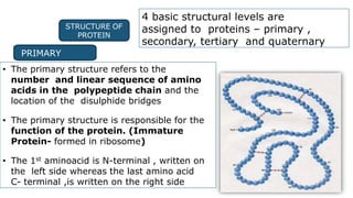 Bio Molecules [Autosaved]- essential.pptx
