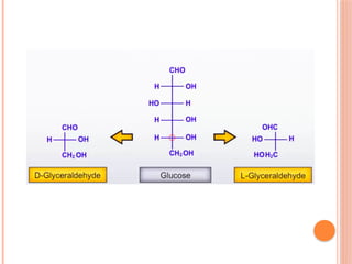 Biomolecules ppt for learning with easy notes | PPTX