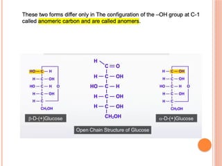 Biomolecules ppt for learning with easy notes | PPTX