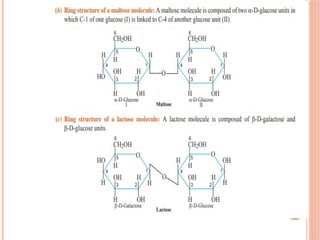 Biomolecules ppt for learning with easy notes | PPTX
