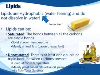 Lipids
Lipids are Hydrophobic (water fearing) and do
not dissolve in water!
• Lipids can be:
• Saturated: The bonds between all the carbons
are single bonds.
•Solid at room temperature
•Mainly animal fats (bacon grease, lard)
• Unsaturated: There is at least one double or
triple bond between carbons present.
•Liquid at room temperature
•Mainly plant based fats (olive oil, peanut oil) as well as
oily fish (Tuna, Sardines)
Important!
 