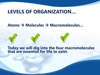 LEVELS OF ORGANIZATION…
Atoms  Molecules  Macromolecules…
Today we will dig into the four macromolecules
that are essential for life to exist.
 