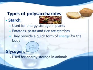Types of polysaccharides
 Starch:
 Used for energy storage in plants
 Potatoes, pasta and rice are starches
 They provide a quick form of energy for the
body
Glycogen:
• Used for energy storage in animals
I am
formed in
the Liver!
 