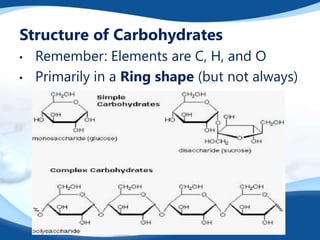 Structure of Carbohydrates
• Remember: Elements are C, H, and O
• Primarily in a Ring shape (but not always)
 