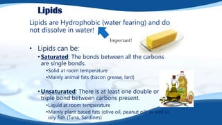 Lipids
Lipids are Hydrophobic (water fearing) and do
not dissolve in water!
• Lipids can be:
• Saturated: The bonds between all the carbons
are single bonds.
•Solid at room temperature
•Mainly animal fats (bacon grease, lard)
• Unsaturated: There is at least one double or
triple bond between carbons present.
•Liquid at room temperature
•Mainly plant based fats (olive oil, peanut oil) as well as
oily fish (Tuna, Sardines)
Important!
 