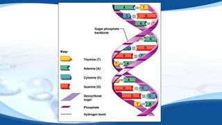 BIOMOLECULESedited.pptx