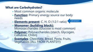 What are Carbohydrates?
 Most common organic molecule
 Function: Primary energy source our body
needs
 Elements present: C, H, O (1:2:1 ratio)
 Monomer (building block):
Monosaccharides (Glucose is most common)
 Polymer: Polysaccharides (starch, Glycogen,
Cellulose, Chitin)
 Examples: Chocolate, Bread, Pasta, Fruits,
Vegetables (ALL FROM PLANTS!!!)
IMPORTANT!
 