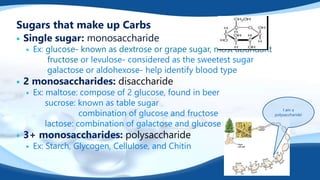 Sugars that make up Carbs
 Single sugar: monosaccharide
 Ex: glucose- known as dextrose or grape sugar, most abundant
fructose or levulose- considered as the sweetest sugar
galactose or aldohexose- help identify blood type
 2 monosaccharides: disaccharide
 Ex: maltose: compose of 2 glucose, found in beer
sucrose: known as table sugar
combination of glucose and fructose
lactose: combination of galactose and glucose
 3+ monosaccharides: polysaccharide
 Ex: Starch, Glycogen, Cellulose, and Chitin
I am a
polysaccharide!
 