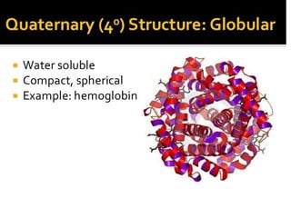 BIO MOLECULES STRUCTURE,TYPES AND FUNCTIONS | PPTX