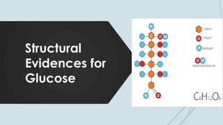 Structural
Evidences for
Glucose
 