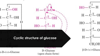 Cyclic structure of glucose
 