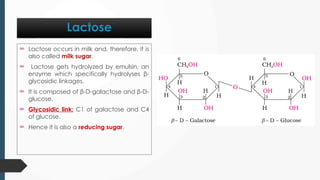  Lactose occurs in milk and, therefore, it is
also called milk sugar.
 Lactose gets hydrolyzed by emulsin, an
enzyme which specifically hydrolyses β-
glycosidic linkages.
 It is composed of β-D-galactose and β-D-
glucose.
 Glycosidic link: C1 of galactose and C4
of glucose.
 Hence it is also a reducing sugar.
Lactose
 