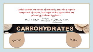Carbon Water
Carbohydrates are a class of naturally occurring organic
compounds of carbon, hydrogen and oxygen which are
primarily produced by plants.
 