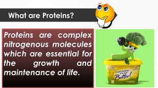 What are Proteins?
Proteins are complex
nitrogenous molecules
which are essential for
the growth and
maintenance of life.
 
