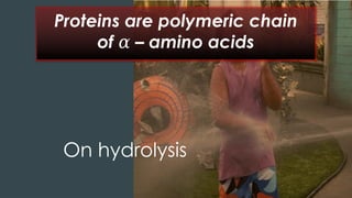 On hydrolysis
Proteins are polymeric chain
of – amino acids
𝛼
 