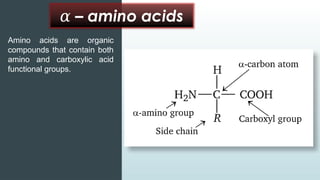 –
𝛼 amino acids
Amino acids are organic
compounds that contain both
amino and carboxylic acid
functional groups.
 