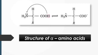 Structure of – amino acids
𝛼
 