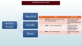Classification based on nature
Amino
Acids
Neutral
Acidic
Basic
 