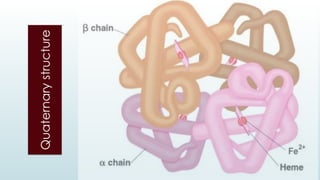 Quaternary
structure
 