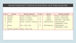 Some important Chemical reactions and their enzymes
 