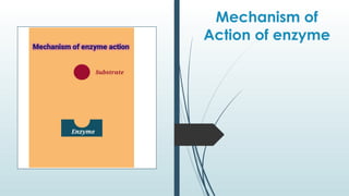 Mechanism of
Action of enzyme
 